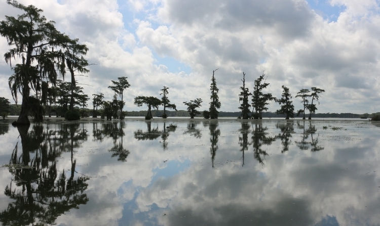 Les origines du projet Up The Mississippi